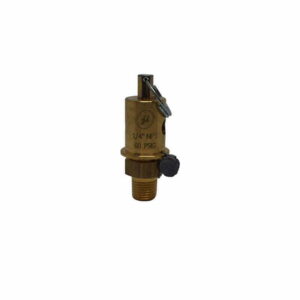 Safety Relief Valve 60PSI 01