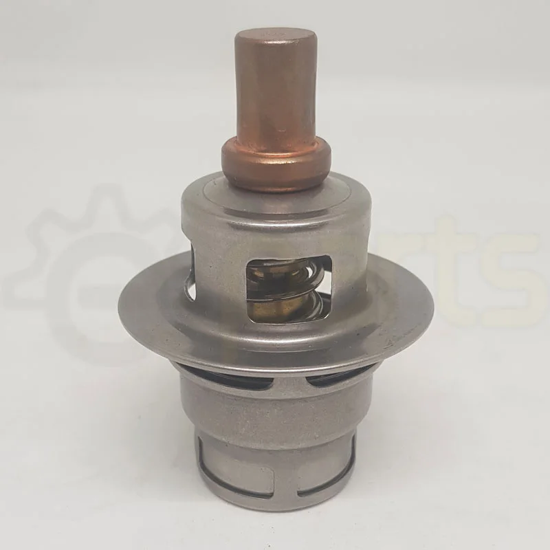 Air Compressor TCV Element Price in Bangladesh 22195820 1M