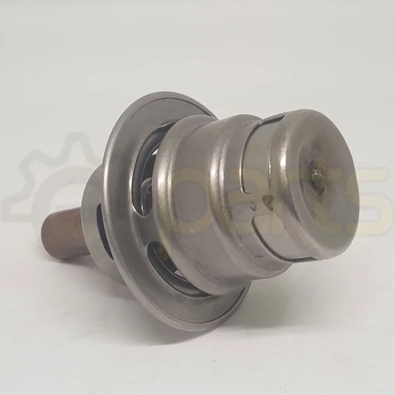Air Compressor TCV Element Price in Bangladesh 22195820 1M